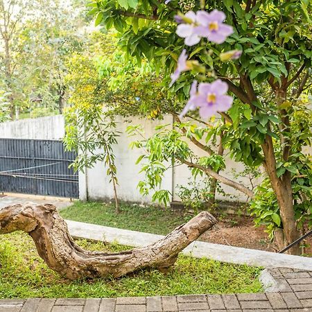 Battaramulla Boutique Villa Sri Jayewardenepura Kotte Exteriör bild