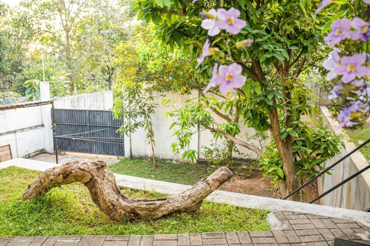 Battaramulla Boutique Villa Sri Jayewardenepura Kotte Exteriör bild